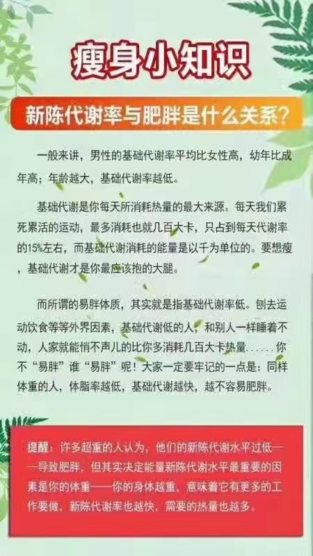 瘦身小知识：新陈代谢率与肥胖是什么关系？