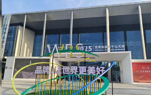 巅峰国际品牌闪耀2025世界品牌莫干山大会，共探品牌发展新征程